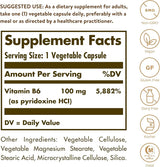 solgar supplement facts vitamin b6 100mg as pyridoxine hcl vaily valule suggested use